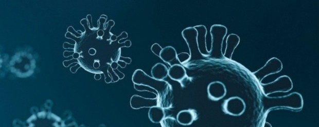 Neuartiges Coronavirus SARS-CoV-2