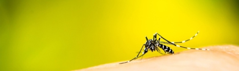 Aero-Sense Aircraft Insecticides